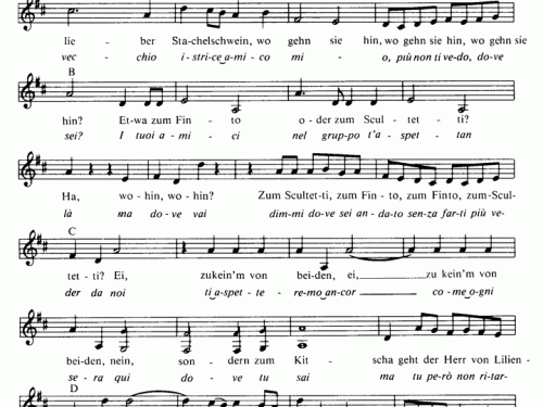 GAULIMAULI Mozart Sheet music