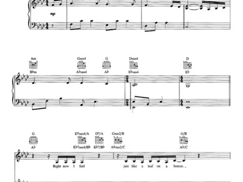 NOTHING I’VE EVER KNOWN Piano Sheet music