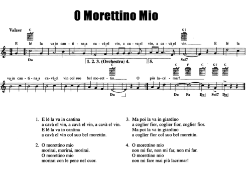 Orietta Berti O MORETTINO MIO Sheet music